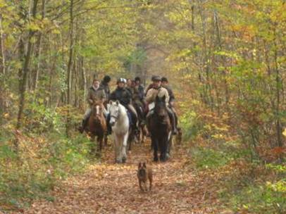 en groupe foret automne cav & chien.JPG